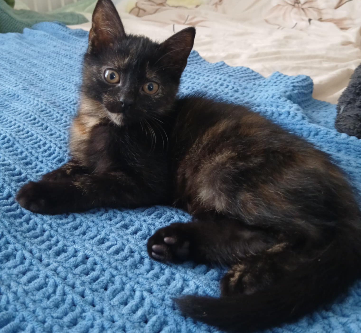 Messenger_creation_AF5C6BF2-57F6-4AF4-911B-1473FC100ED9